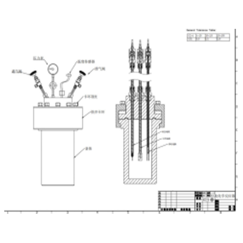 高壓高溫電化學(xué)反應(yīng)釜
